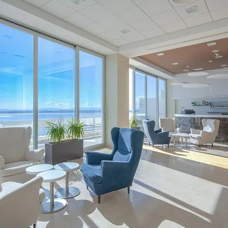 Omorika ツリクヴェニツァ