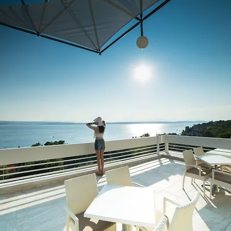 Omorika ツリクヴェニツァ