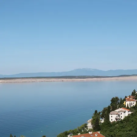 Omorika ツリクヴェニツァ